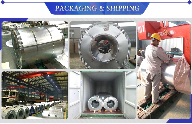 High Quality RAL 9003 6005 PPAL PPCR PPGL PPGI Steel Coils